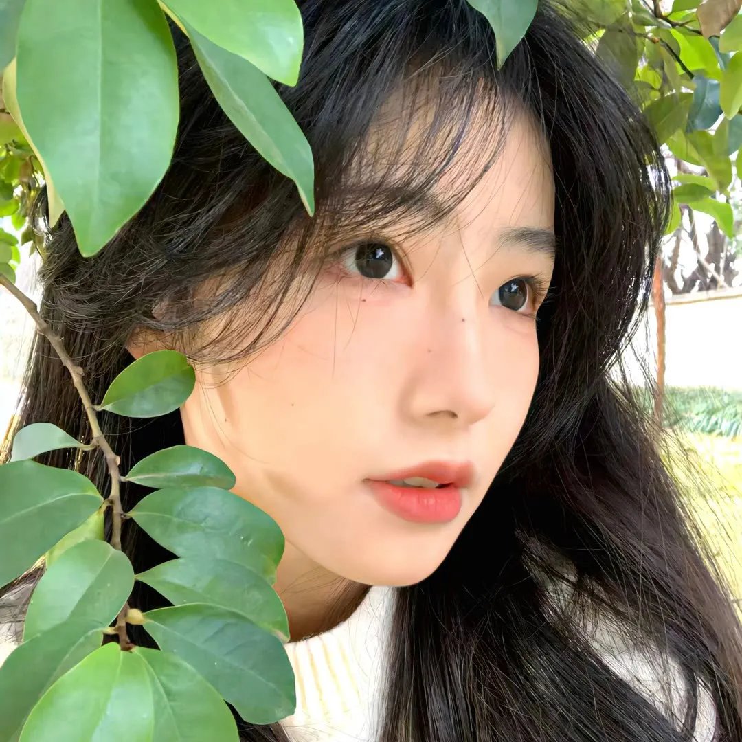 监察局长